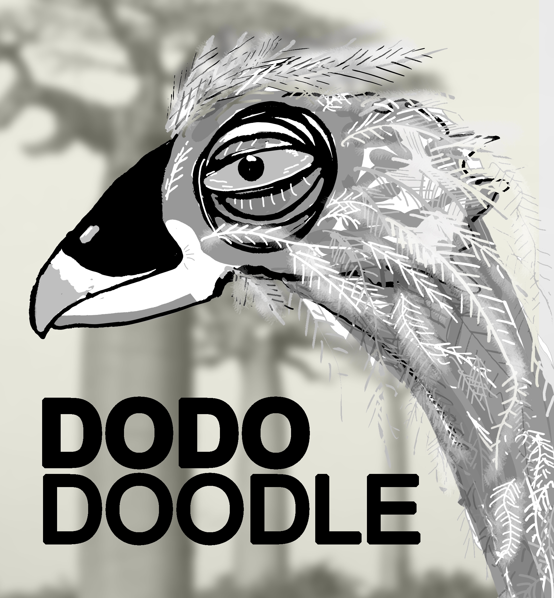 Dodo Doodle